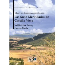Las siete Merindades de Castilla Vieja - Tomo II